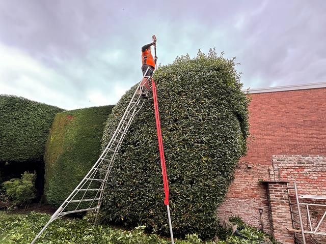 hedge-trimming (9)-kireth-ai
